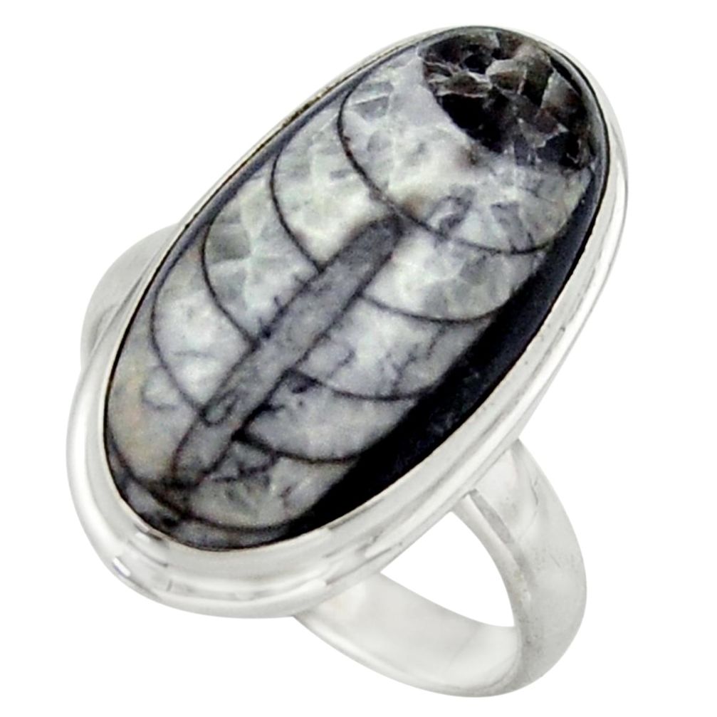 14.79cts natural black orthoceras 925 sterling silver ring size 8.5 r42621