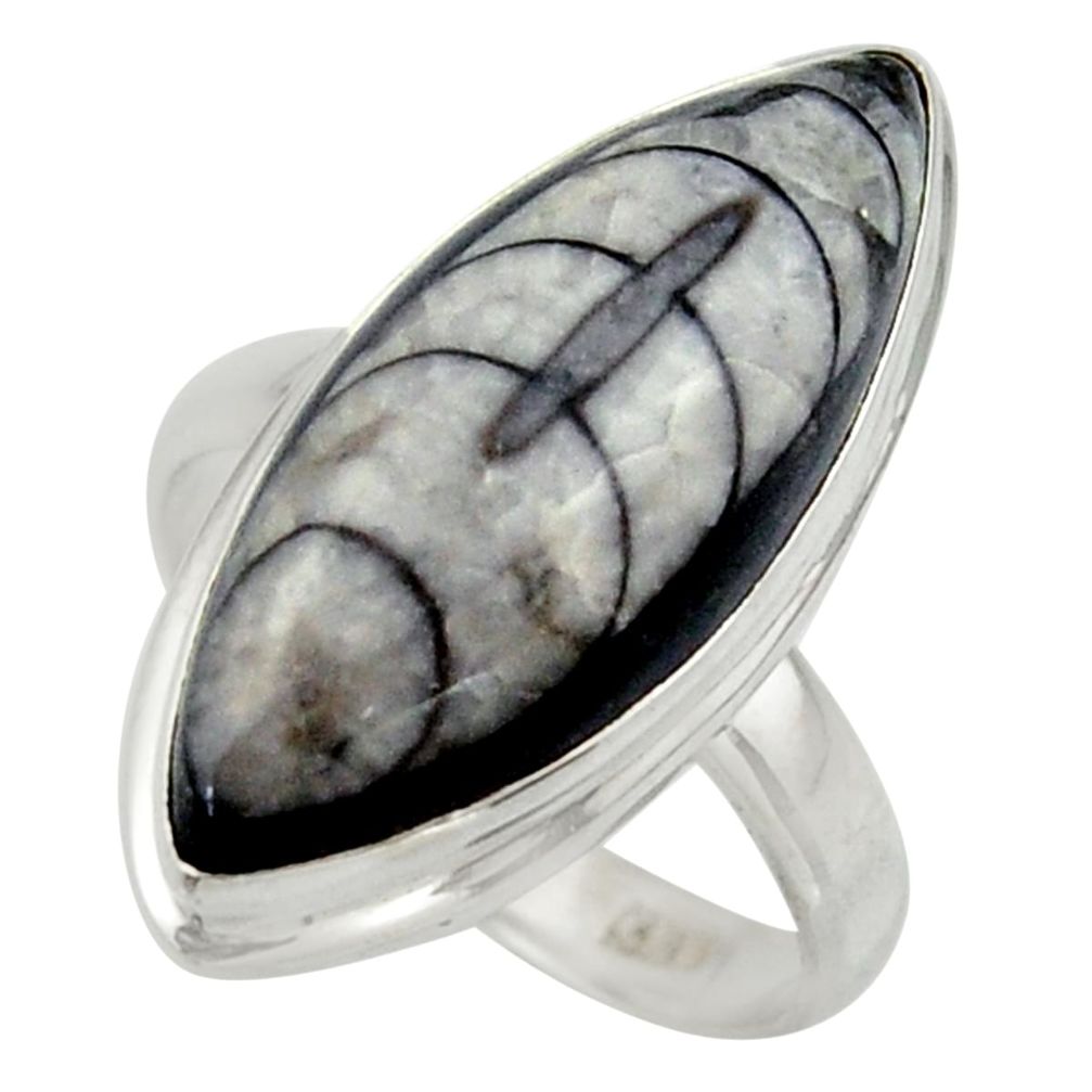 16.03cts natural black orthoceras 925 sterling silver ring size 8.5 r42623