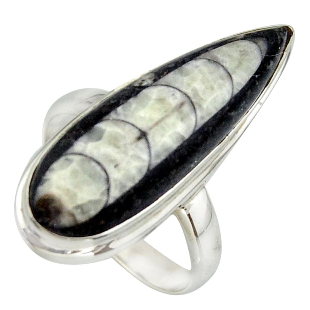 15.46cts natural black orthoceras 925 sterling silver ring size 8.5 r42633