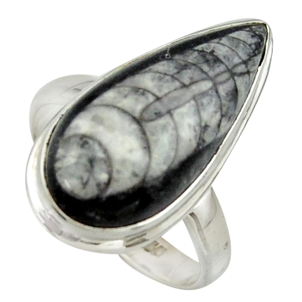 14.24cts natural black orthoceras 925 sterling silver ring size 8.5 r42638