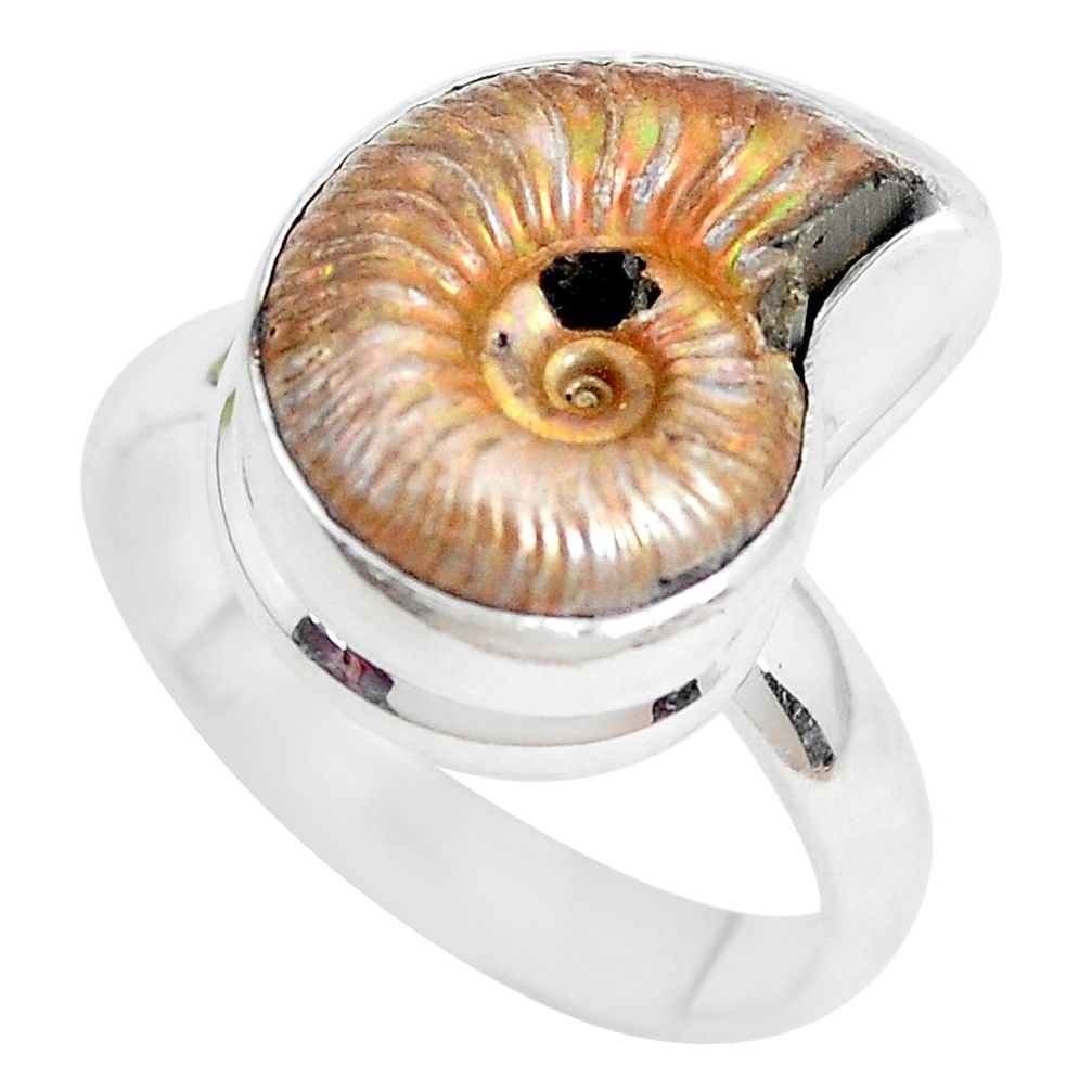 Natural brown ammonite crystallized 925 silver solitaire ring size 8 p28622