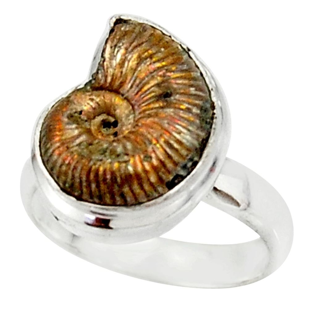 7.11cts natural russian jurassic opal ammonite fancy silver ring size 6 r39616