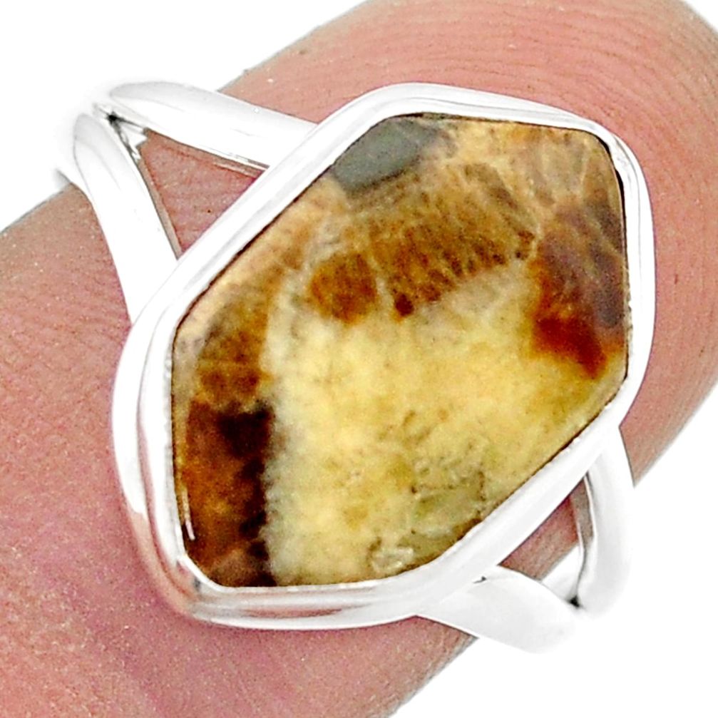 6.60cts solitaire brown septarian gonads hexagon silver cocktail ring size 8.5 u43883