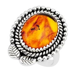 7.53cts solitaire natural baltic amber (poland) 925 silver ring size 7.5 y48904
