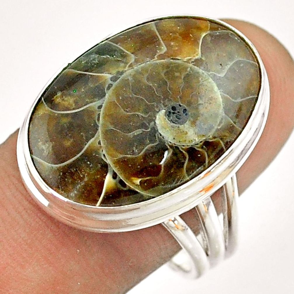 15.16cts solitaire natural brown ammonite fossil 925 silver ring size 9 t54448