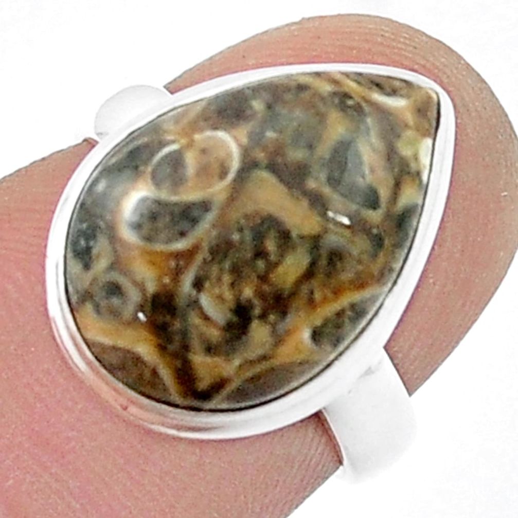 6.54cts solitaire turritella fossil snail agate 925 silver ring size 5.5 u47652